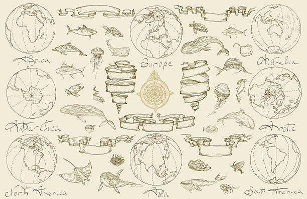 ภาพประกอบสต็อกที่เกี่ยวกับ “การเดินทางทางทะเลด้วยเรือย้อนยุค - ปลาปักเป้า ปลาเขตร้อน”