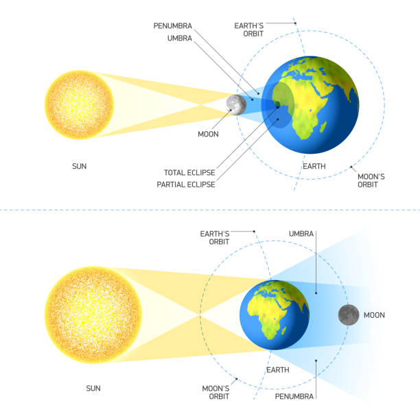 solar and lunar eclipses - lunar eclipse stock-grafiken, -clipart, -cartoons und -symbole