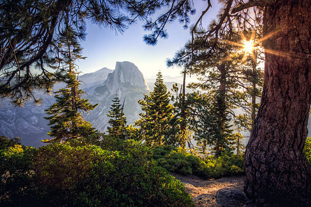 Yosemite National Park, California