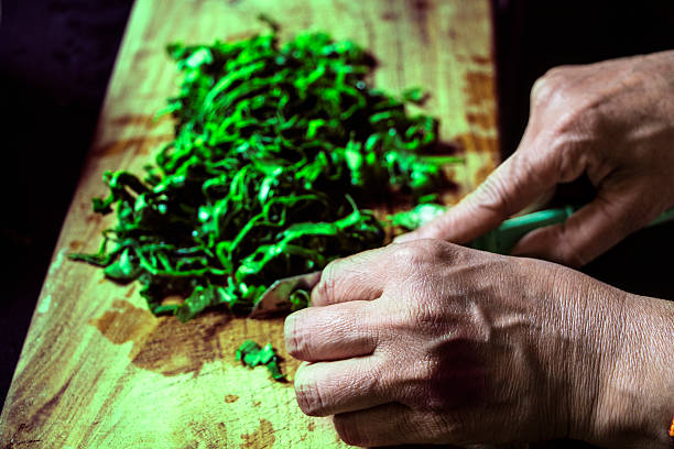 Closeup on young housewife cutting spnich for pickling in kitche