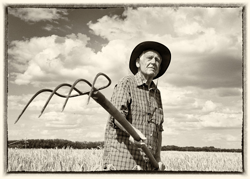 Old image with white frame of senior man working with hayfork in ripe barley field