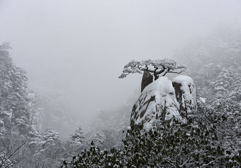 Affected by the Arctic vortex of Mount Huangshan China