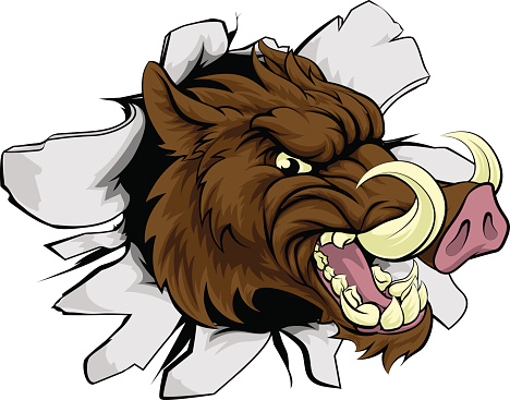 Free Wild Boar Clipart in AI, SVG, EPS or PSD | Page 4