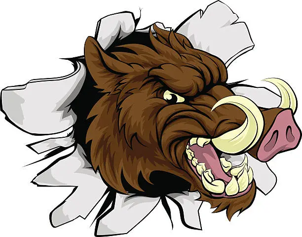 Vector illustration of Boar Razorback Sports Mascot