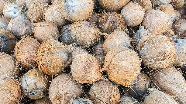 istock Pile of Dry Coconut Coir Husk 506181328