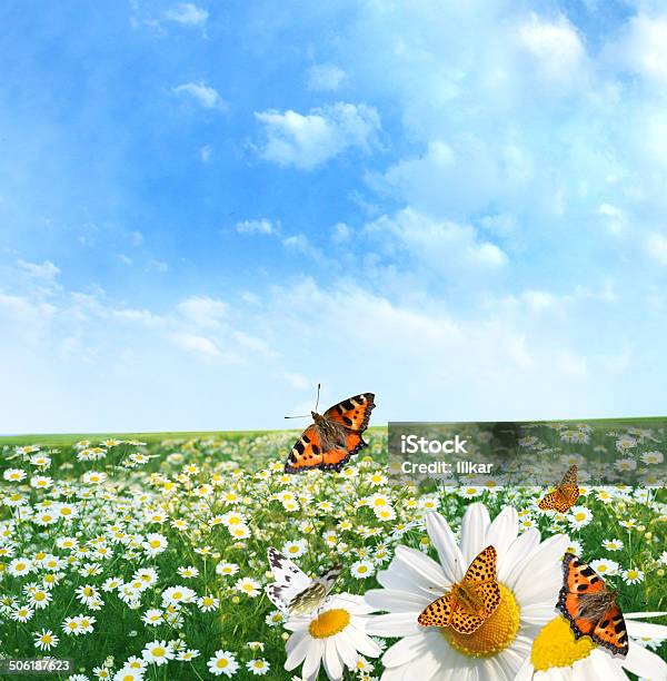 Butterfly Stock Photo - Download Image Now - Animal Markings, Backgrounds, Blue
