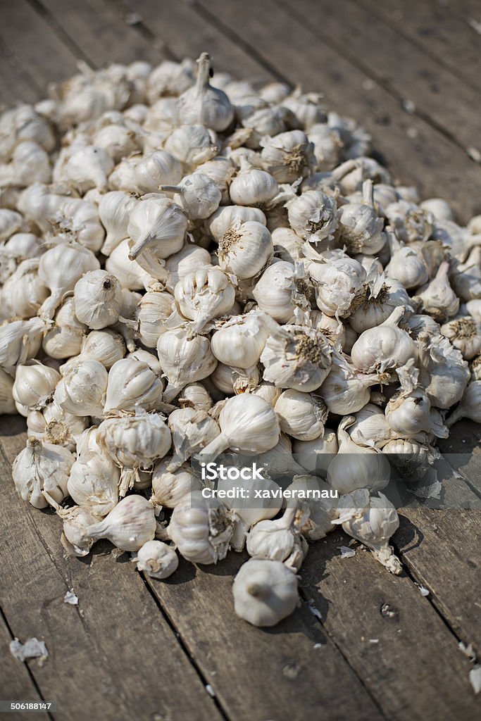 Garlic Pile of garlic on the floor. Agriculture Stock Photo