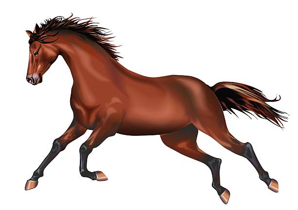 galloping ホース絶縁 - horse cutting competition ストックフォトと画像