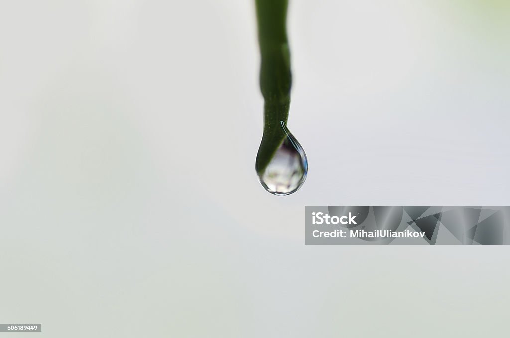 reflection in water drop on leaf Abstract Stock Photo