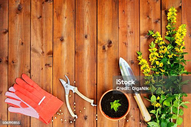 Copyspace Frame With Gardening Tools And Objects On Wooden Background Stock Photo - Download Image Now