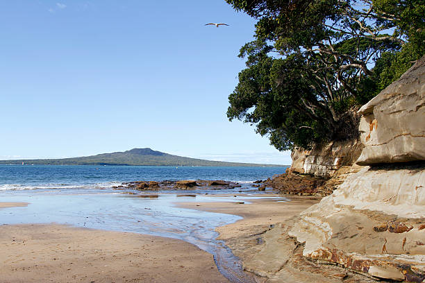 istock New Zealand 506192053