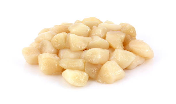 istock Serving of small bay scallops 506192111
