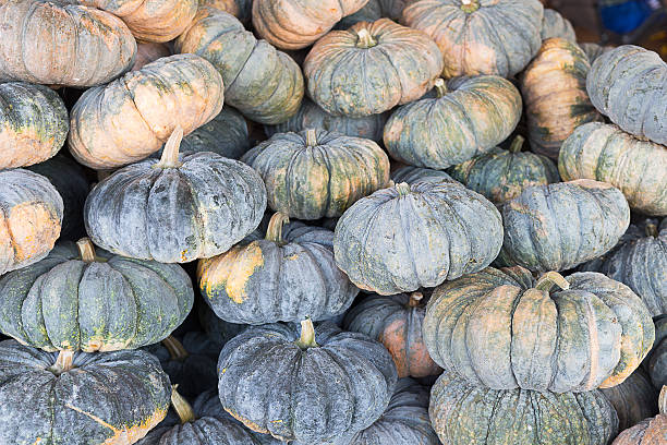 istock Pumpkin in agricultural  market 506197614