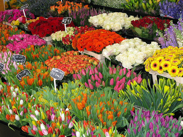 istock Colorful flowers in a shop 506199802