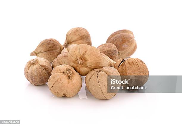 Siam Cardamom Isolated On White Background Stock Photo - Download Image Now - Angelica, Cardamom, Cultures