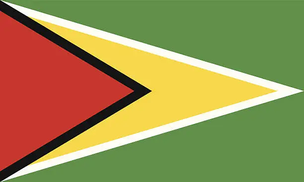 Vector illustration of guyana flag