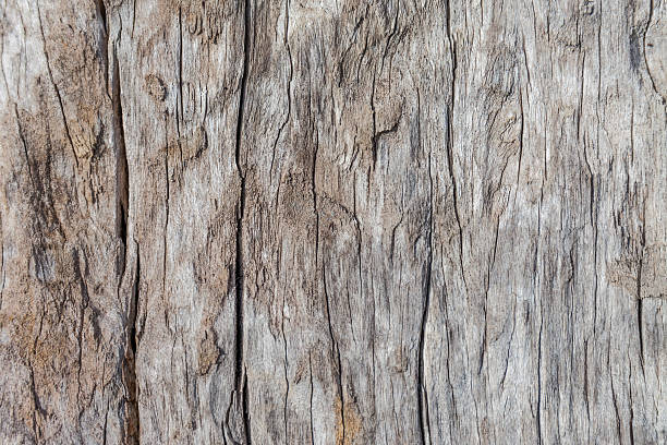 istock Old wood texture, vintage natural 506212041