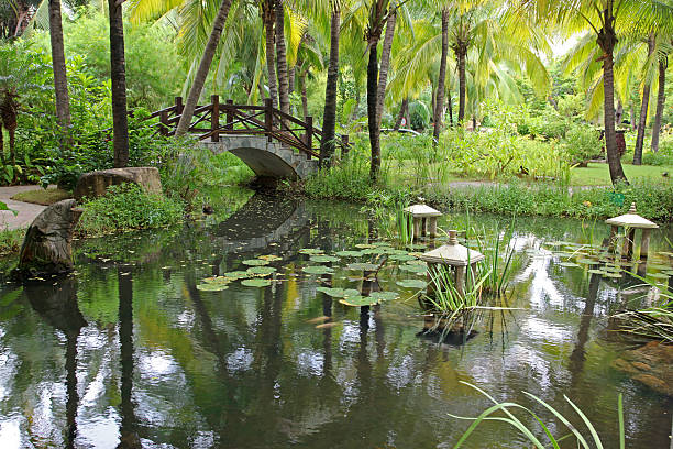 istock classic chinese garden, south China 506213971