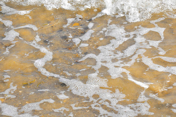 istock Sea foam over yellow sand beach 506215466