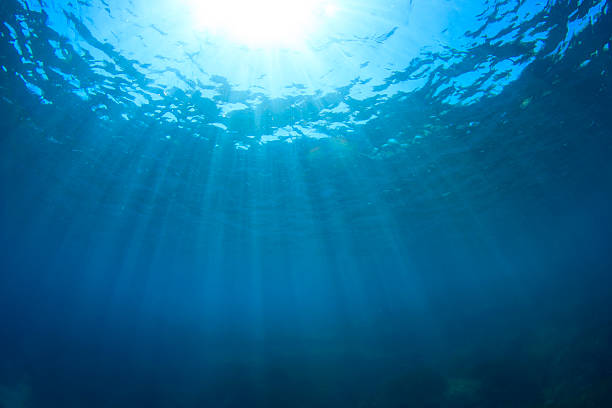 istock Underwater background photo 506215597