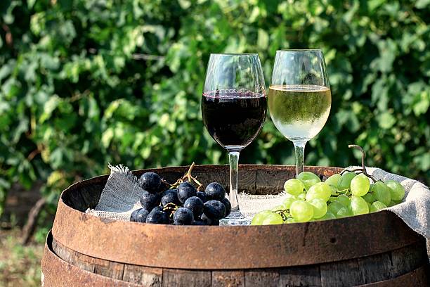 istock Red and white wine with grapes in nature 506216503