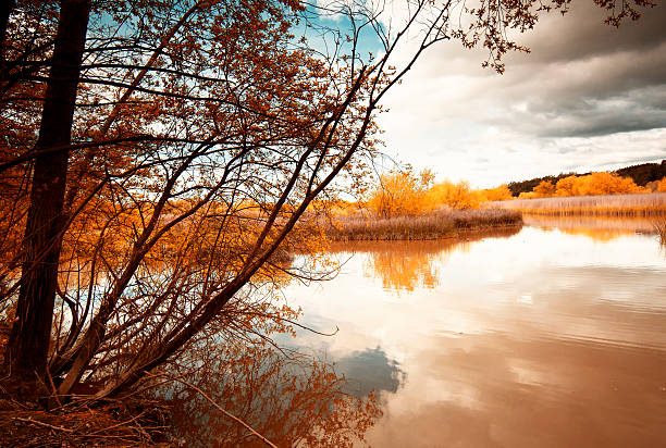 istock Tabueira Park,Portugal. 506218804