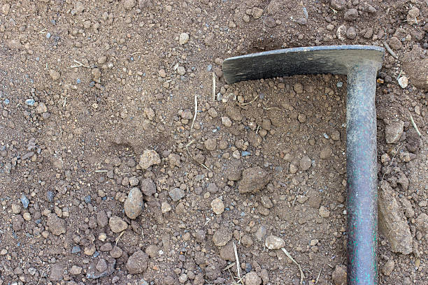 istock Hoe or digging tool, soil prepared vegetable bed for sowing. 506219466