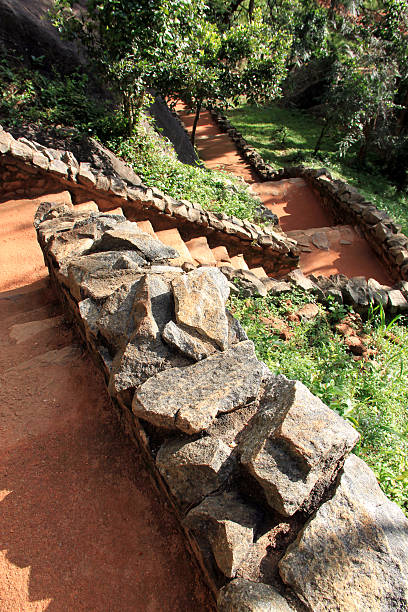 grüne tropische Natur in Sri Lanka