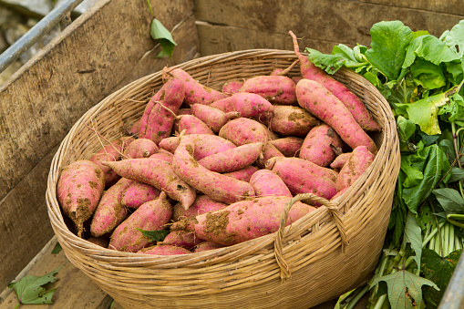 Sweet potatoes, yams in the basket