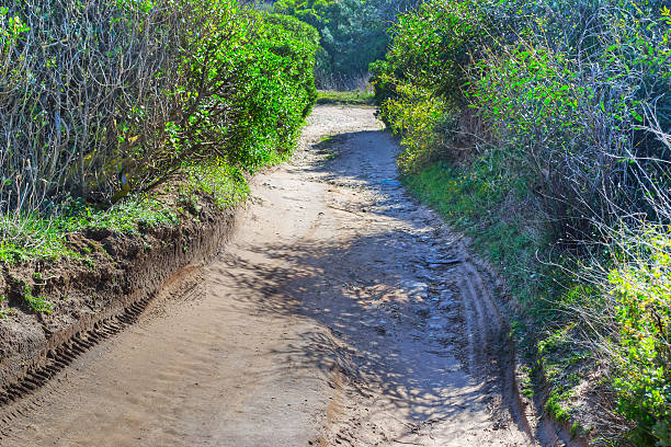 istock dirt path in the countryside 506223734