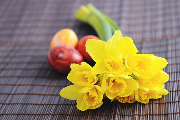 bunch of yellow daffodil and easter eggs on bamboo background. easter time. springtime.