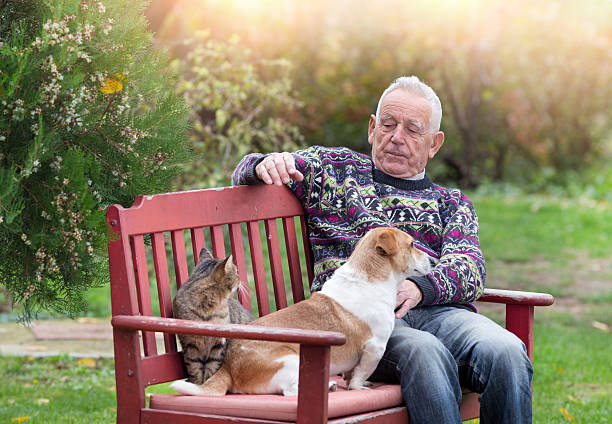 istock Senior man with dogs and cat 506237942