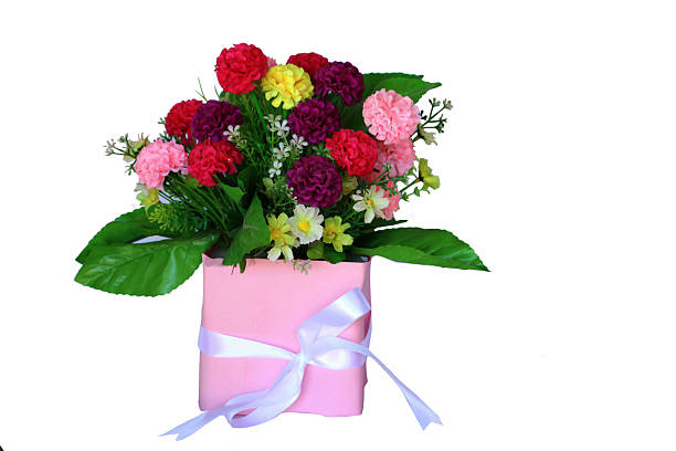 istock beautiful poinsettia in flowerpot 506238128
