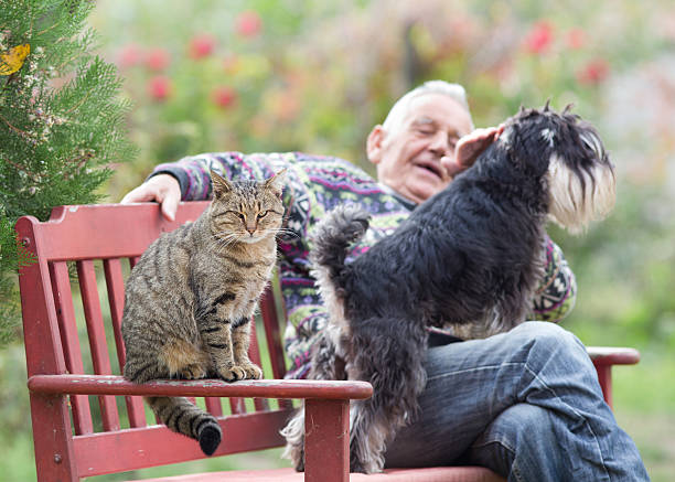 istock Senior man with dog and cat 506239106
