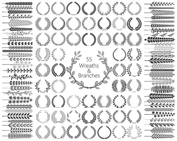 Set of 55 Wreaths and branches. Vector illustration. Set of 55 Wreaths and branches. Vector illustration. bay tree stock illustrations
