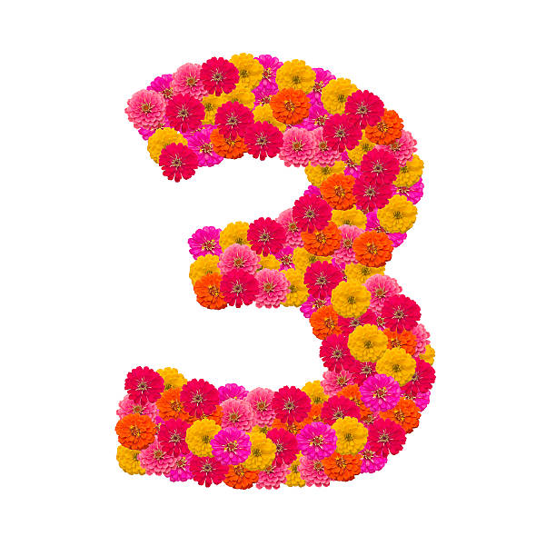 istock Numbers 3  made from Zinnias flowers 506241633