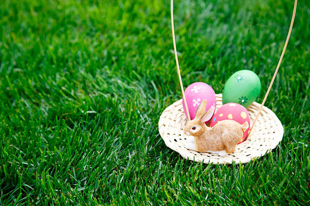 istock basket of Easter eggs in a field 506243016