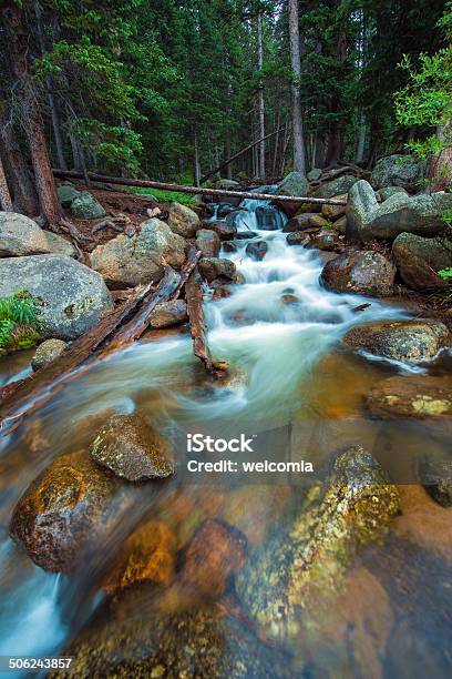 Rocky Mountain River Stock Photo - Download Image Now - Animal, Colorado, Dew