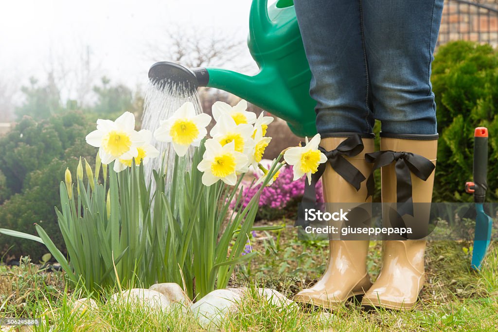 gardener in the spring garden with beautiful flower gardener in the flourishing garden Beauty In Nature Stock Photo