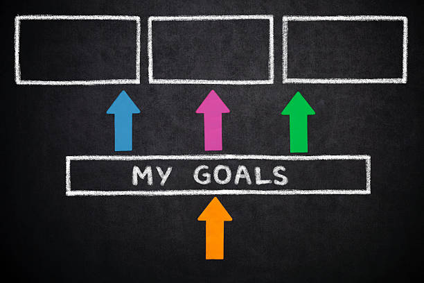 istock Diagram with My Goals 506245984
