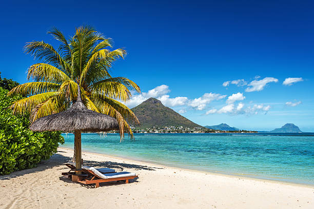 istock Loungers and umbrella on tropical beach in Mauritius 506246438