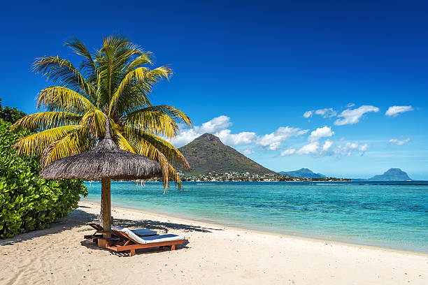 Loungers and umbrella on tropical beach in Mauritius stock photo
