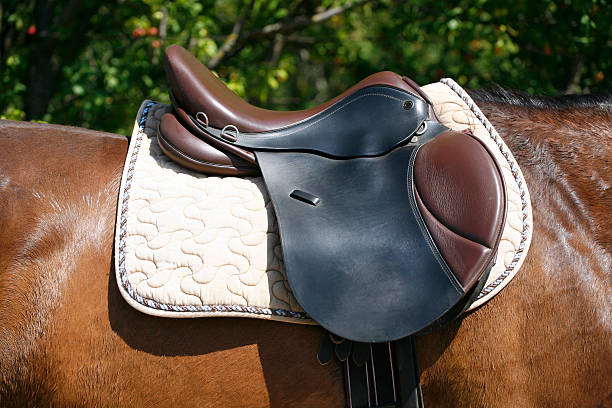 istock Black and brown leather saddle on back of a horse 506247422