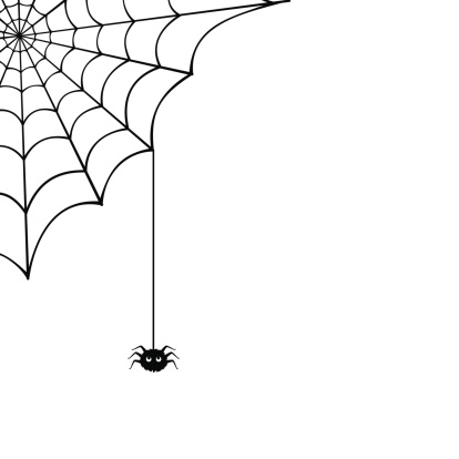 Vector spider web and small spider on a white background.