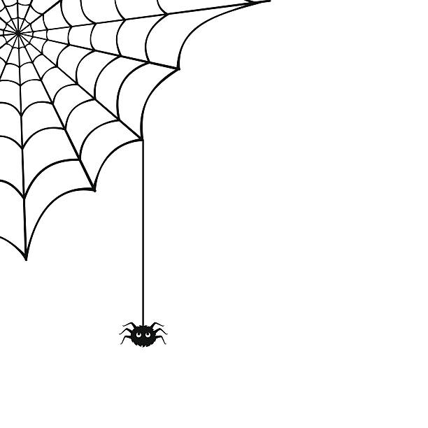 Spider web and spider. Vector illustration. Vector spider web and small spider on a white background. spider stock illustrations