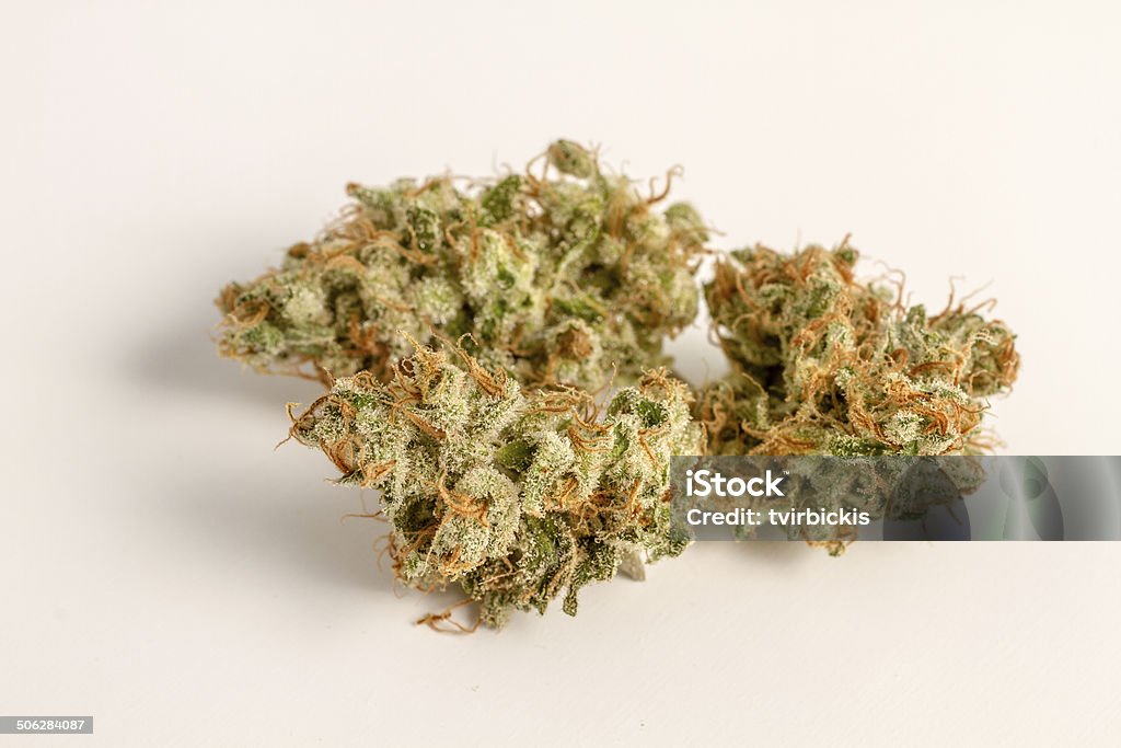 Marijuana Buds Close up of medicinal marijuana buds oh white background Addiction Stock Photo