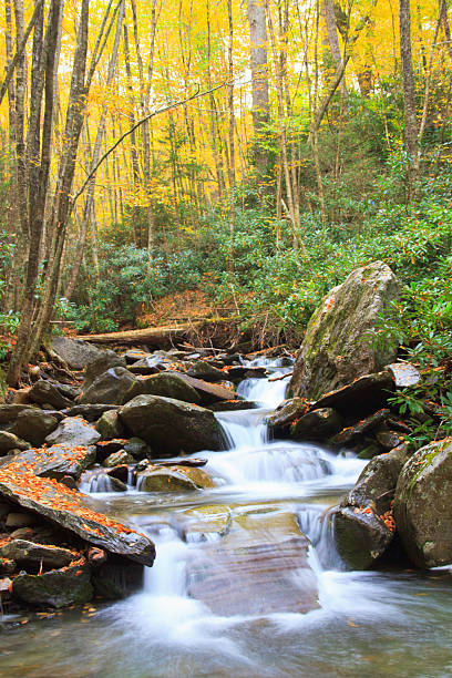 istock Stream flowing in Great Smoky Mountains National Park 506284389