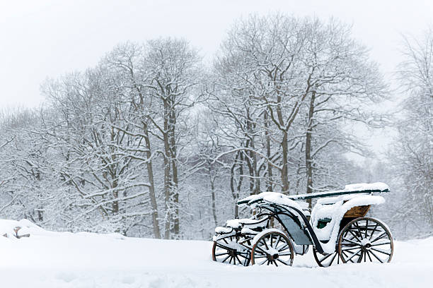 Horse sledge in action on snow through winter landscape