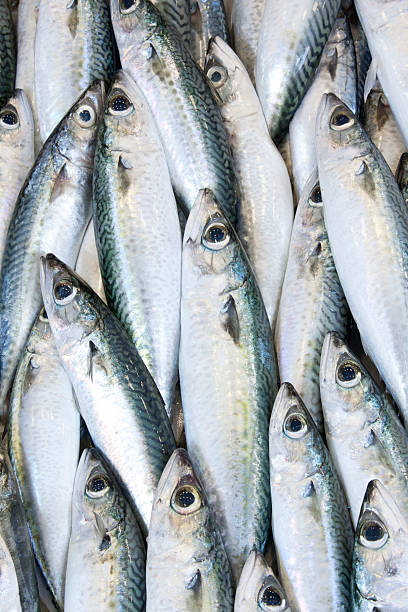 Fish background stock photo