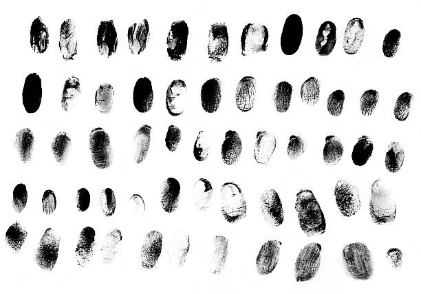 Set of fingerprints black on white stock photo